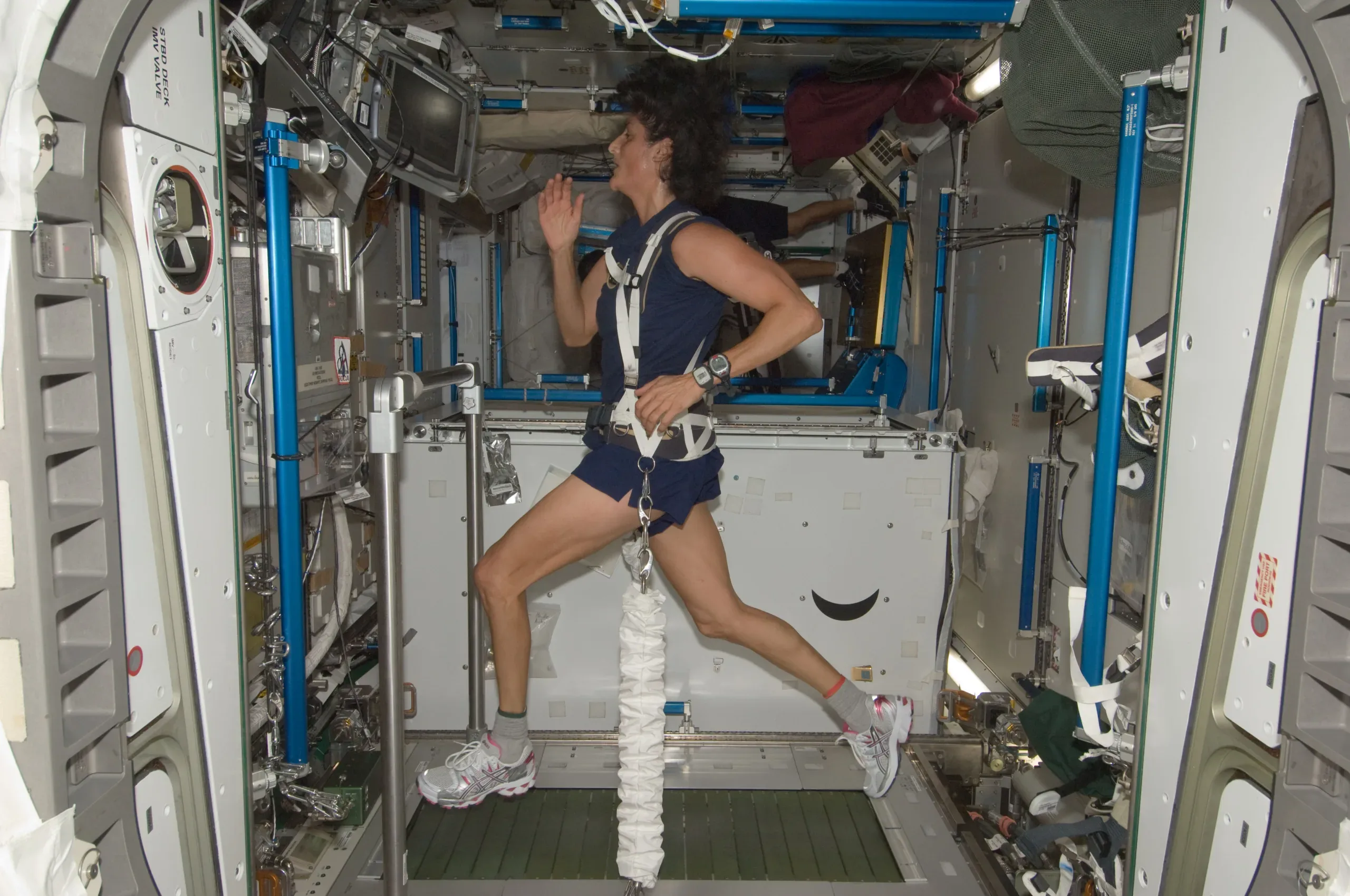 NASA astronaut Sunita Williams, Expedition 32 flight engineer, equipped with a bungee harness, exercises on the Combined Operational Load Bearing External Resistance Treadmill (COLBERT) in the Tranquility node of the International Space Station.